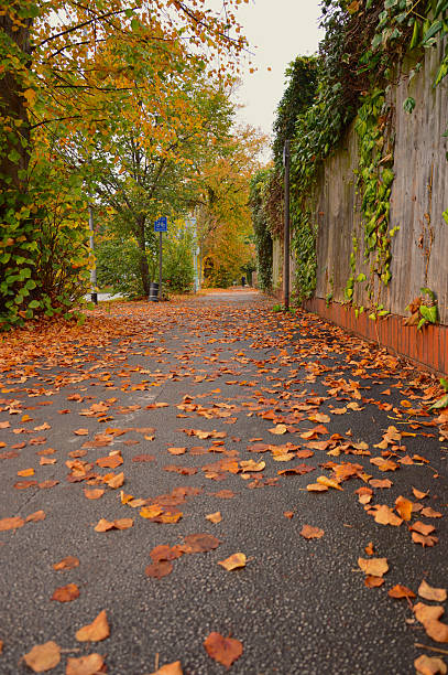 istock Autumn street with leaf-covered pedestrian asphalt path 2245567854