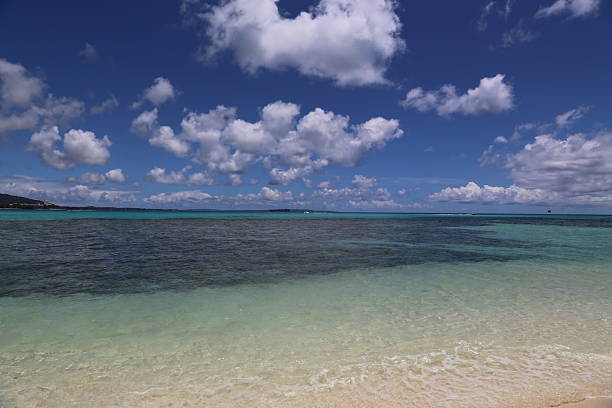 Pacific ocean sea and seaside