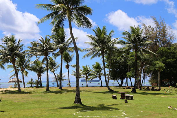 beauty nature in tropical area Saipan
