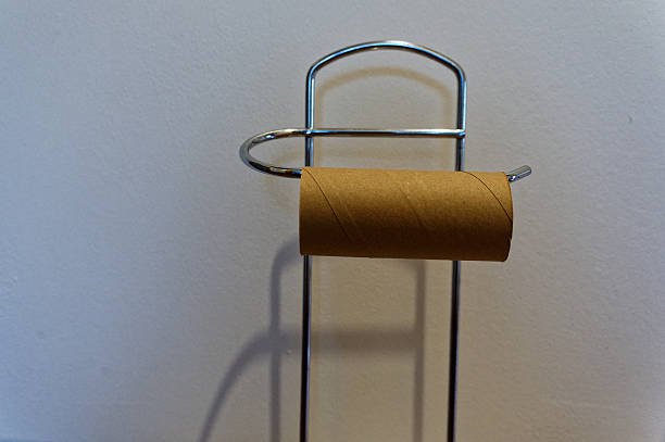 The cardboard roll of an empty toilet roll sits on a chrome toilet roll holder