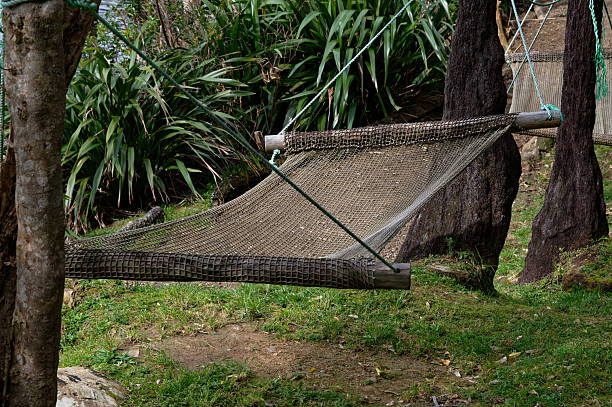 istock A hammock suspended between two trees welcomes the weary 2245582364