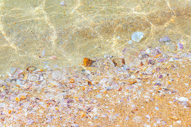 Beach sand with pebbles colorful shells and water texture pattern in Patong Beach Kathu District Phuket Island Province Southern Thailand in Southeast Asia.