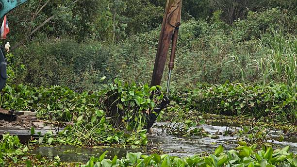 istock Excavator dredgers transport water hyacinth in river. 2245589303