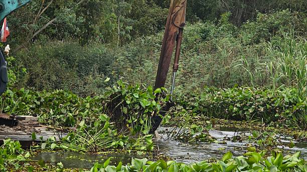 istock Excavator dredgers transport water hyacinth in river. 2245589306
