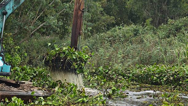 istock Excavator dredgers transport water hyacinth in river. 2245589308