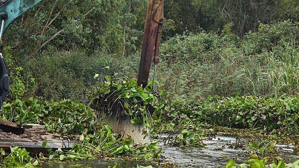 istock Excavator dredgers transport water hyacinth in river. 2245589309