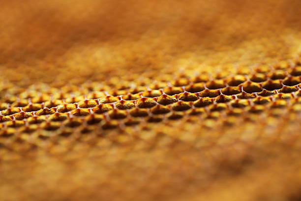 Explore the intricate details of a honeycomb structure, showcasing the vibrant yellow texture and hexagonal cells that highlight nature's architectural beauty.