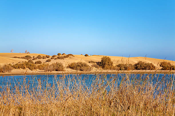 istock Lake La Charca, Maspalomas, Gran Canaria, Canary Islands, Spain. 2245597362