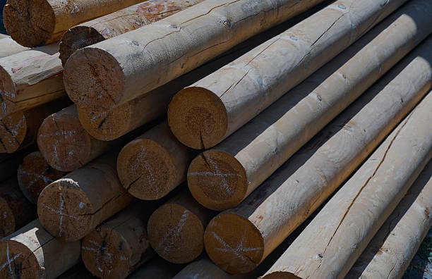 istock wooden poles stand on the ground 2245598068