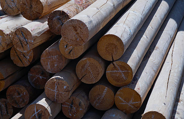istock wooden poles stand on the ground 2245598083