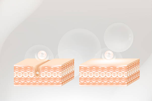 istock Hyaluronic acid and Niacinamide before and after skin solutions ad, white collagen serum drops into skin cell with cosmetic advertising background ready to use, illustration vector. 2245598206