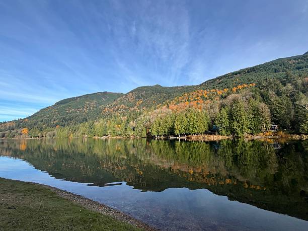 istock A tranquil lake mirrors vibrant fall foliage and towering green trees, creating a serene scene under a clear blue sky. Perfect for nature enthusiasts and photographers alike. 2245600117