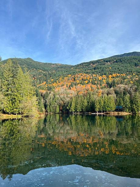 istock A tranquil lake mirrors vibrant fall foliage and towering green trees, creating a serene scene under a clear blue sky. Perfect for nature enthusiasts and photographers alike. 2245600661