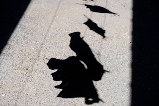 istock Shadow of clothes hanging in the clothesline 2245600725