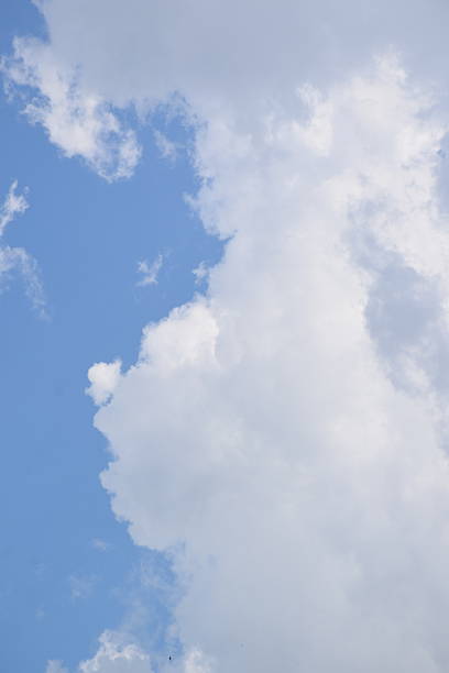 Soft white clouds drift across a bright blue sky, creating a serene atmosphere, with varying textures and shapes, ideal for backgrounds and nature themes