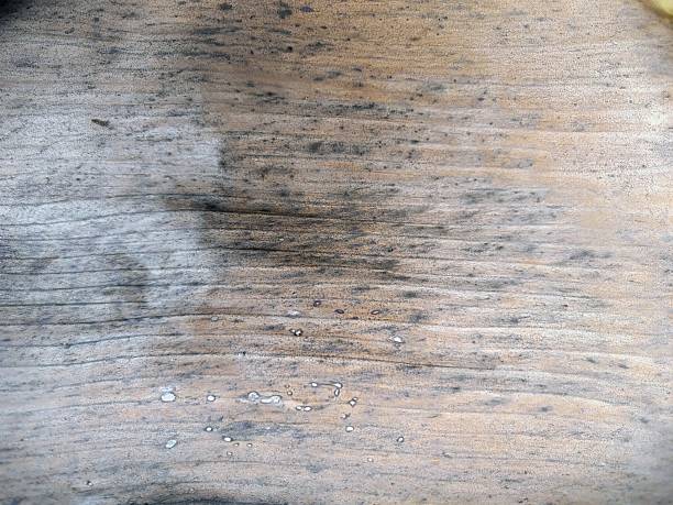 istock Close-up texture of a natural dried banana leaf 2245607202
