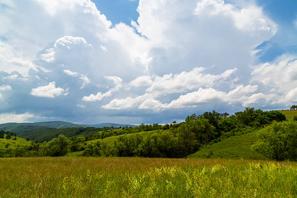 istock Beautiful mountain scenery with wavy wild grass fields in spring, in a wild area in Europe 2245608005