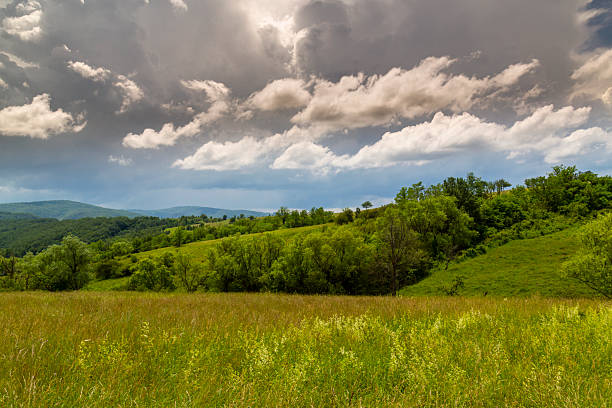 istock Beautiful mountain scenery with wavy wild grass fields in spring, in a wild area in Europe 2245608099