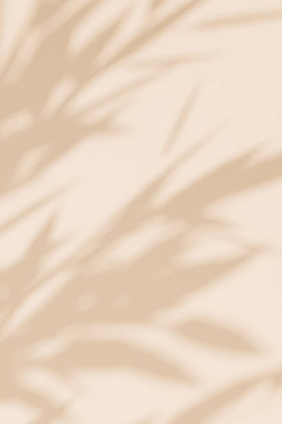 istock Abstract beige studio background for product presentation. Beige empty wall with shadows from tree leaves. 3D room with space for copying. The concept of summer and spring. Spring vertical background. 2245609742