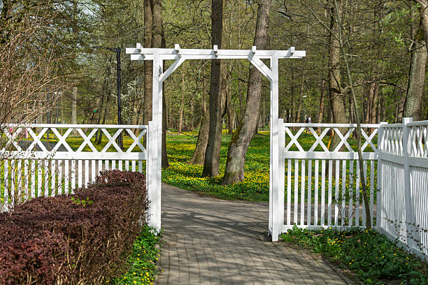 istock White garden gate opens to a scenic park path lined with spring flowers and tall trees, inviting peaceful walks in a natural setting. 2245613286