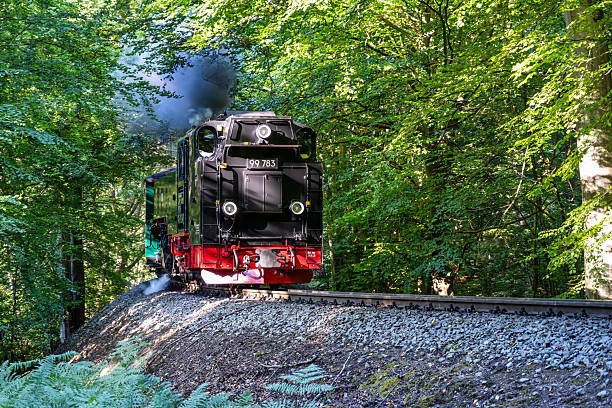 A look at the Rasender Roland on the island of Ruegen