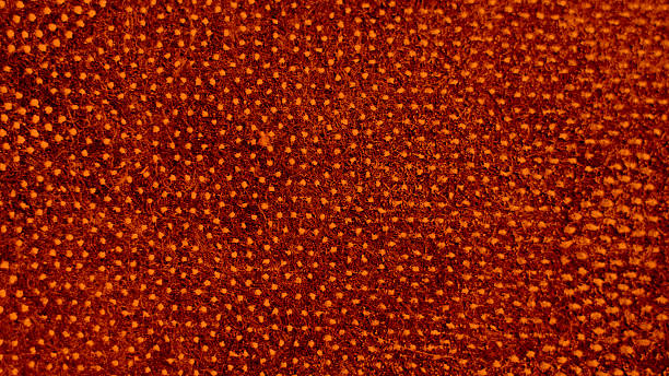 istock Close-Up of Red Textured Fabric with Dotted Pattern 2245616107