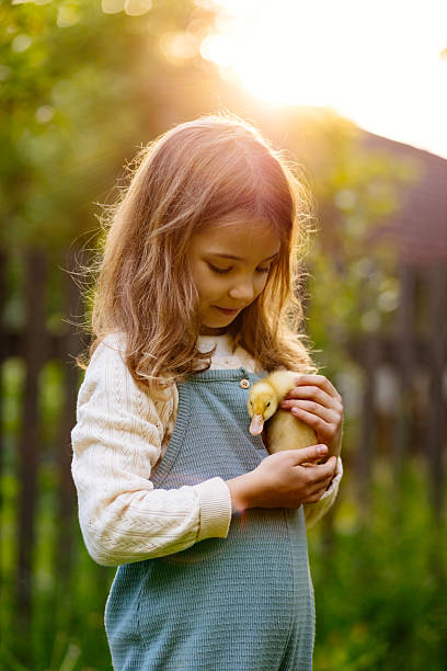 istock Girl holding duckling in palms. 2245619548