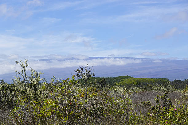 Breathtaking view of Mauna Loa volcano on the Big Island of Hawaii. The largest subaerial volcano in both mass and volume, Mauna Loa has been considered the largest volcano on Earth.