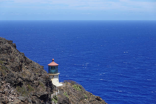 An iconic red roof lighthouse stands high on a steep cliff above the endless blue Pacific, captured in a vertical composition. The bright structure provides a strong focal point against the deep water and sky. This photograph is perfect for navigation themes, travel marketing, inspirational posters, and maritime safety concepts.