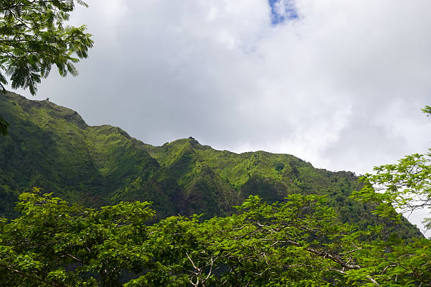 istock Lush green mountain slopes rising into low tropical clouds 2245620038