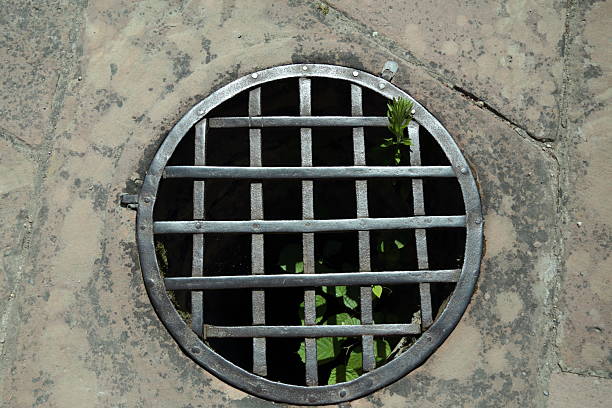 istock Green plant growing through metal grate on stone pavement 2245624833