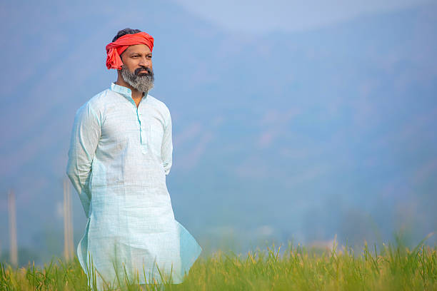 Indian farmer standing at onion agriculture field.