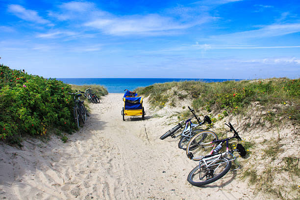 A bright summer scene showing a sandy path between green dunes and shrubbery, leading towards the blue sea and a clear sky. Several mountain bikes are parked or lying on the sand, along with a bright blue and yellow bicycle trailer (possibly for children or luggage), suggesting a family or group excursion and a vacation destination. The path is typical of the coastal landscapes of Northern Europe or Scandinavia.