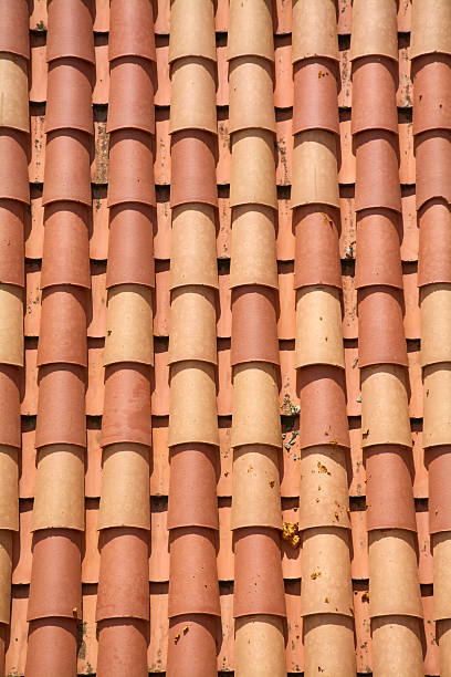 Orange colored tiles a bit weathered on roof top, defocused leaves of a tree nearby