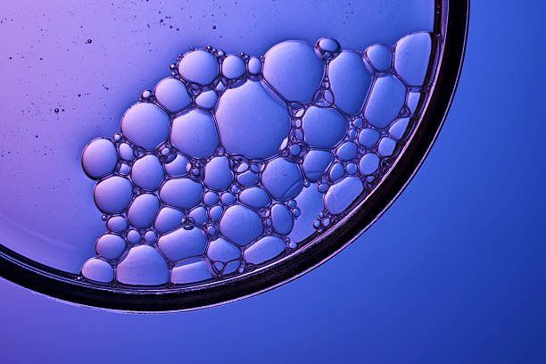 istock Serum with bubbles in a petri dish on a purple background. 2245629739