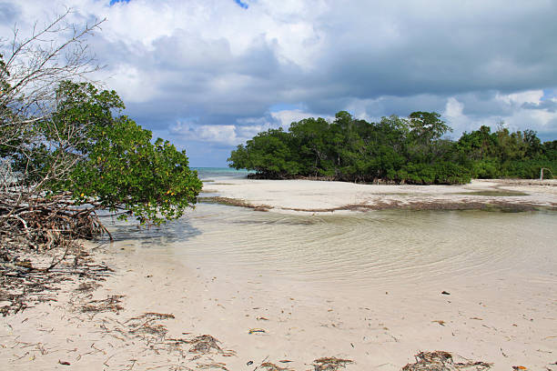 A wide and atmospheric view of the unspoiled coastline of Cayo Jutias, Cuba. The image features a shallow, clear-water lagoon or tidal inlet surrounded by pristine white sand and dense mangrove vegetation. The scene is dominated by a dramatic, cloud-filled sky, giving the tropical landscape an imposing and wild feel. This photo captures the vast, tranquil, and untouched natural beauty of the Cuban key.