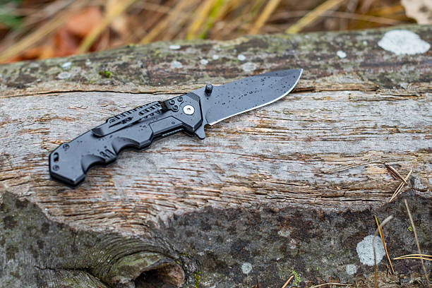 istock Compact folding knife resting on a log in a forest setting during a rainy day 2245633401