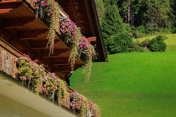 A charming traditional alpine guesthouse decorated with vibrant flower boxes and rustic wooden details. The scene evokes a cozy village atmosphere with colorful blooms surrounding the windows and entrance.