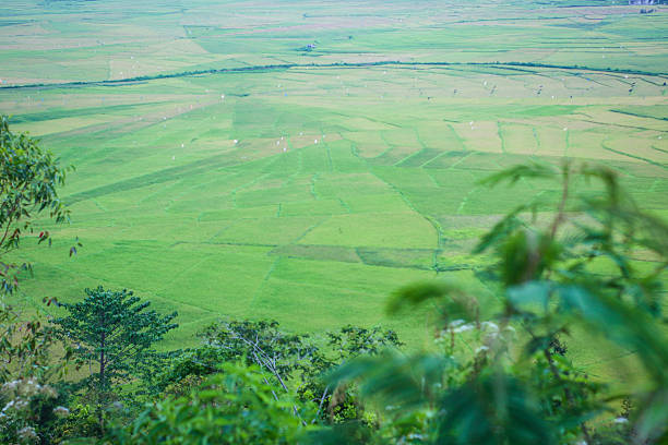 istock Spiderweb-shaped rice fields in Flores, Manggarai. The spiderweb-shaped rice field distribution system in Indonesia. 2245641491