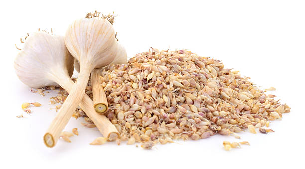 Messy garlic and red onion peels on white background.