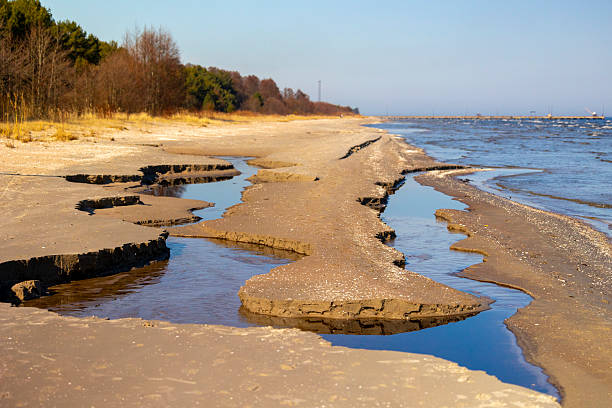 istock A beautiful Baltis Sea coastline landscape with forest growing on dunes. 2245646131
