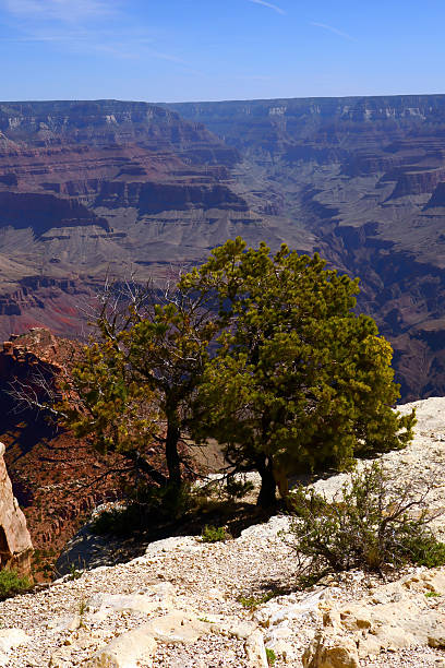 istock Grand Canyon Arizona 2245647158