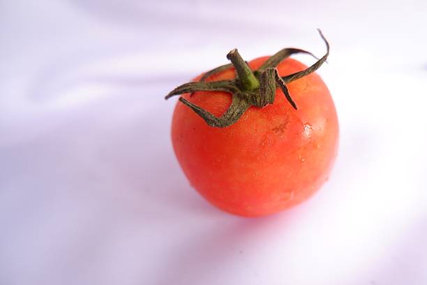 close-up photo of tomatoes