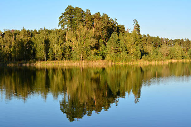 Tranquil Lake with Forest Reflection in the sunset wallpaper