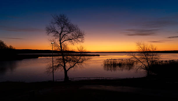 istock A baeutiful, colorful early spring sunrise over the lake with tree silhouettes. 2245654384