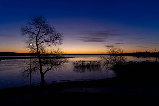 istock A baeutiful, colorful early spring sunrise over the lake with tree silhouettes. 2245654385