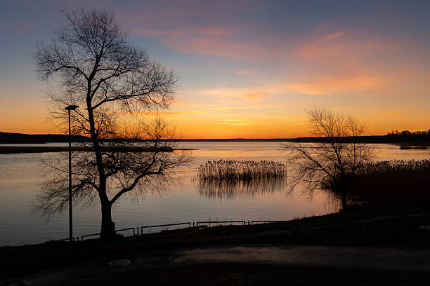 istock A baeutiful, colorful early spring sunrise over the lake with tree silhouettes. 2245654420