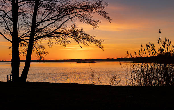 istock A baeutiful, colorful early spring sunrise over the lake with tree silhouettes. 2245654443