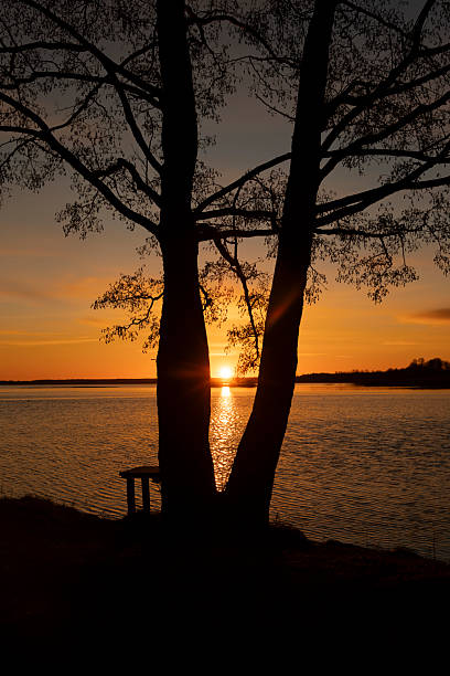 istock A baeutiful, colorful early spring sunrise over the lake with tree silhouettes. 2245654457