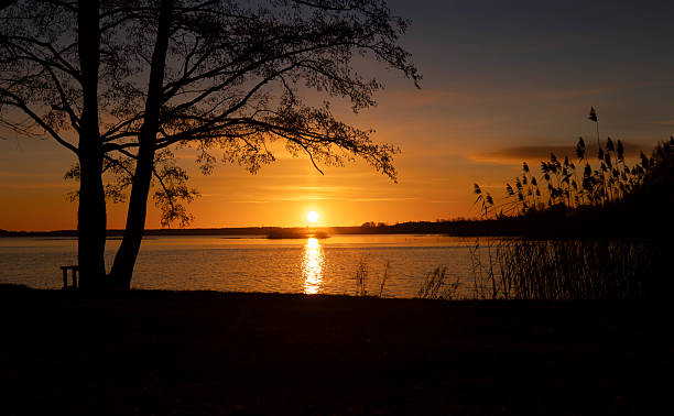 istock A baeutiful, colorful early spring sunrise over the lake with tree silhouettes. 2245654464